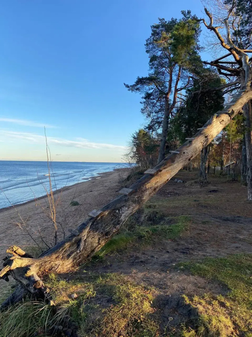 Гостевой дом в Коккорево