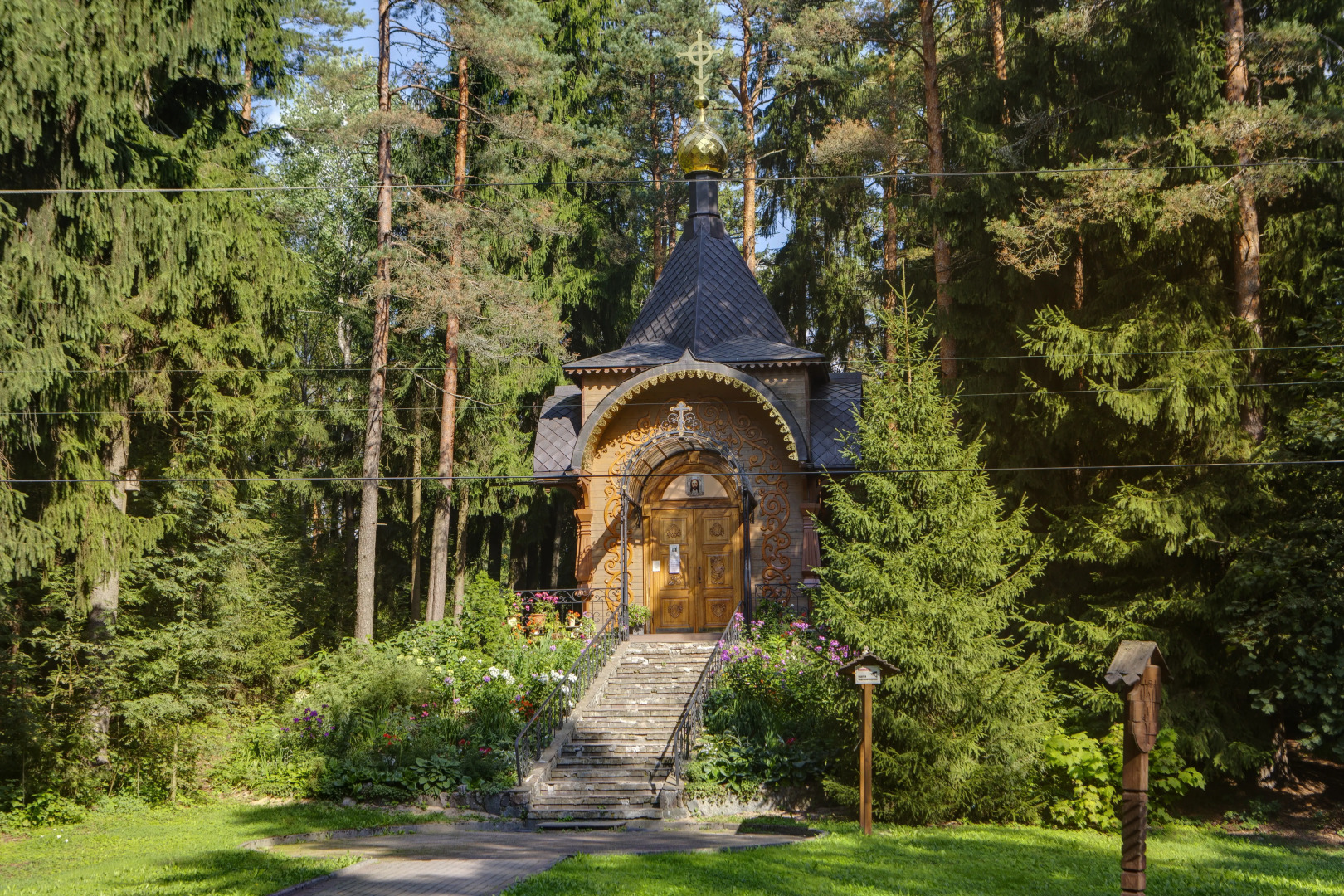 Отель Репино Парк