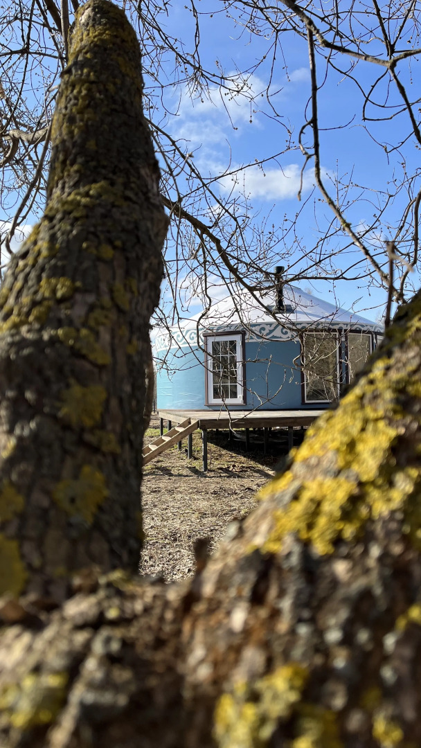 Глэмпинг Yurt resort