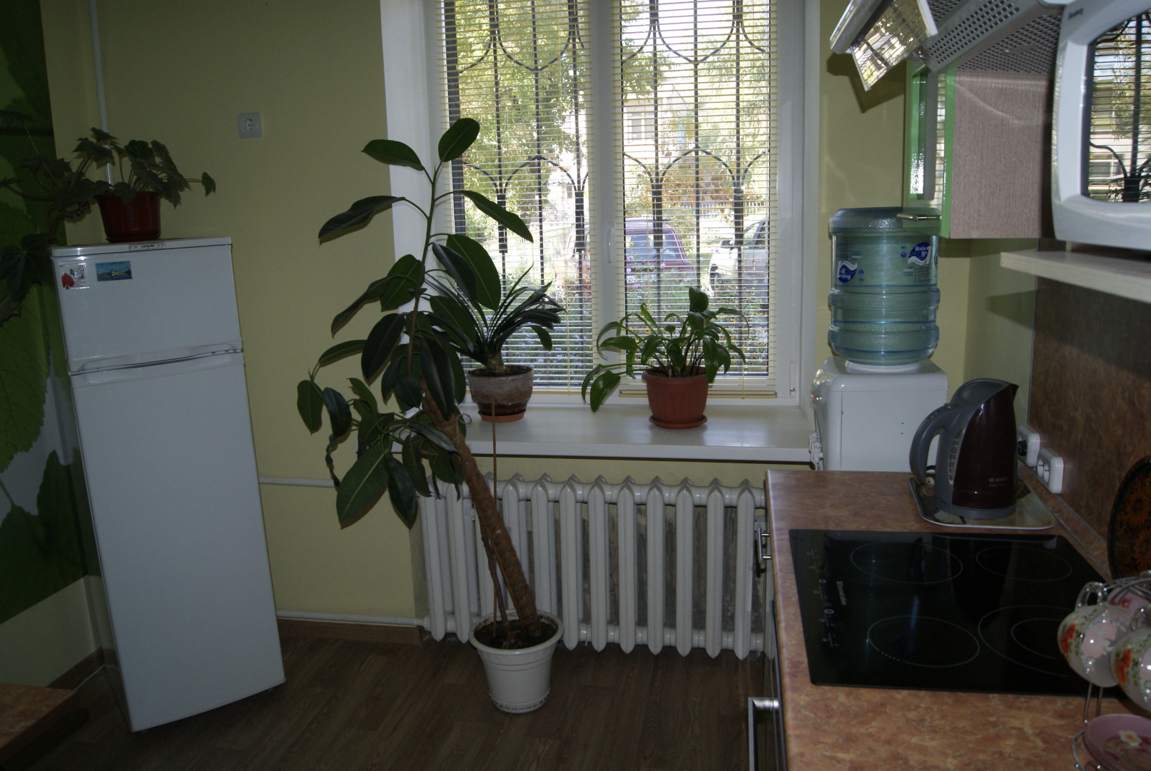 Хостел Подсолнух