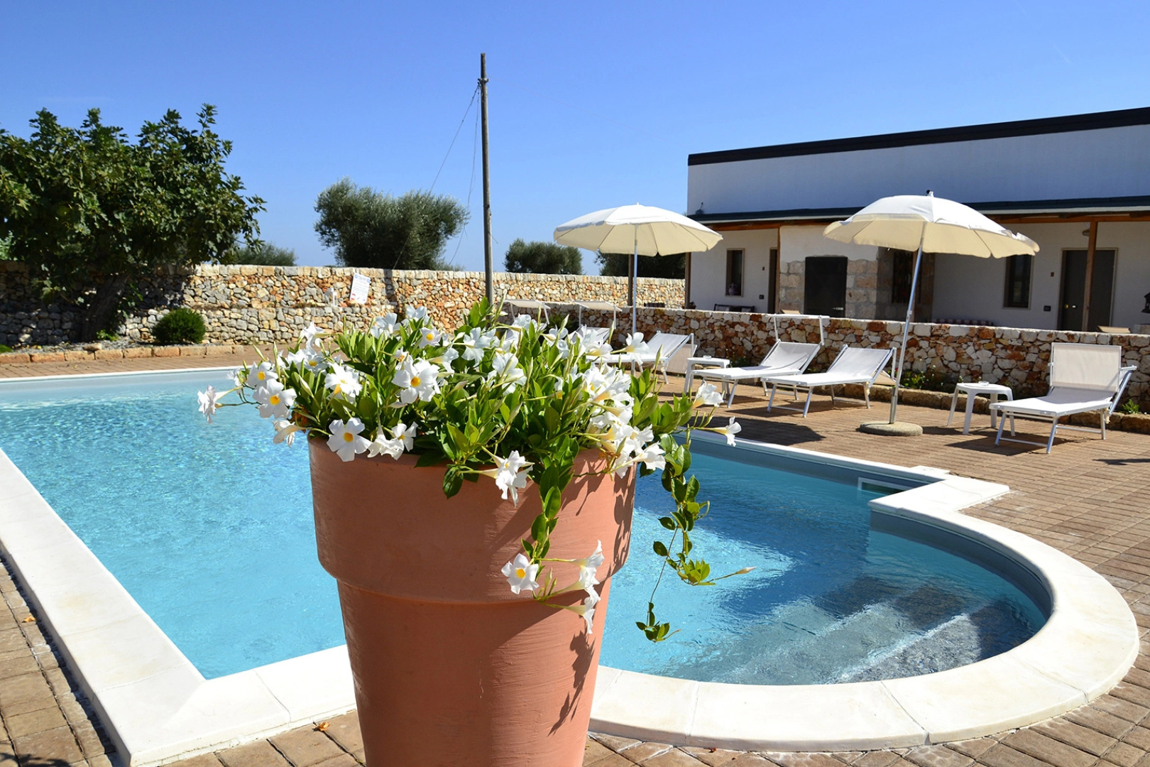 Ночлег и Завтрак (B&B) Agriturismo Masseria Alberotanza B&B and Restaurant