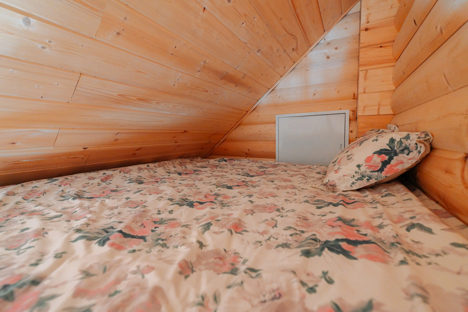 Гостевой Дом Замок в Лесу Пушкинские Горы