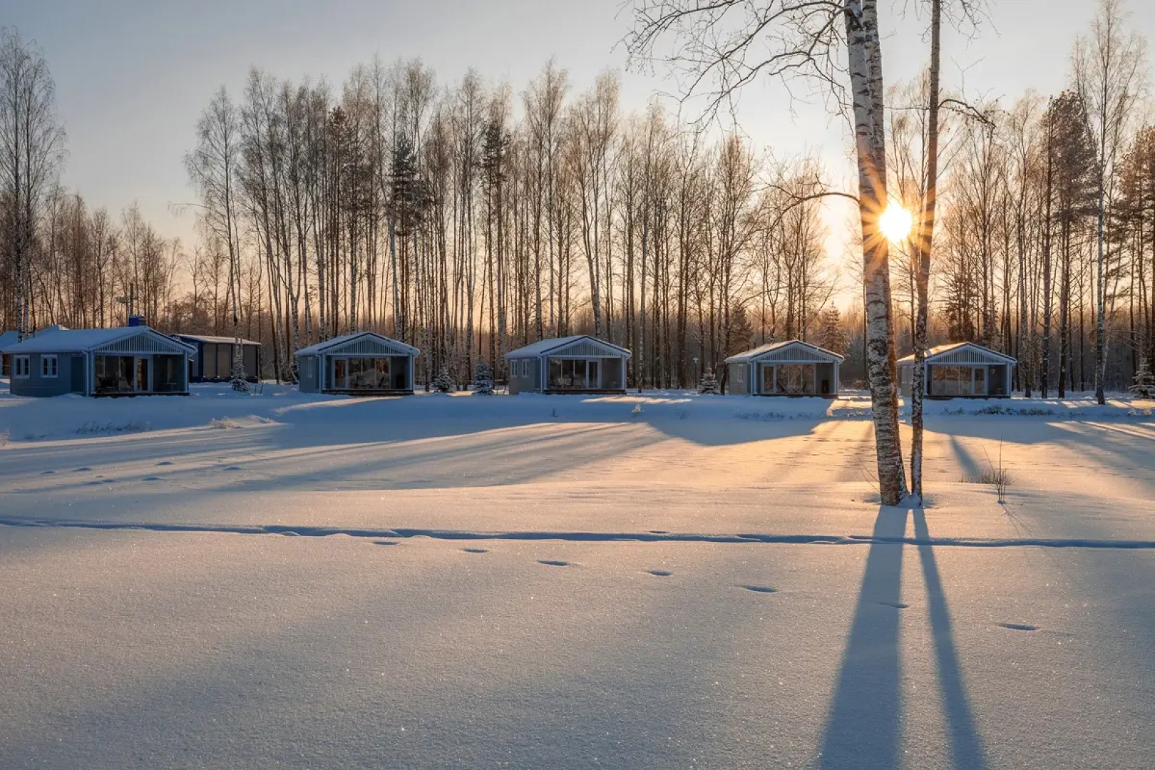 Глэмпинг Завидово