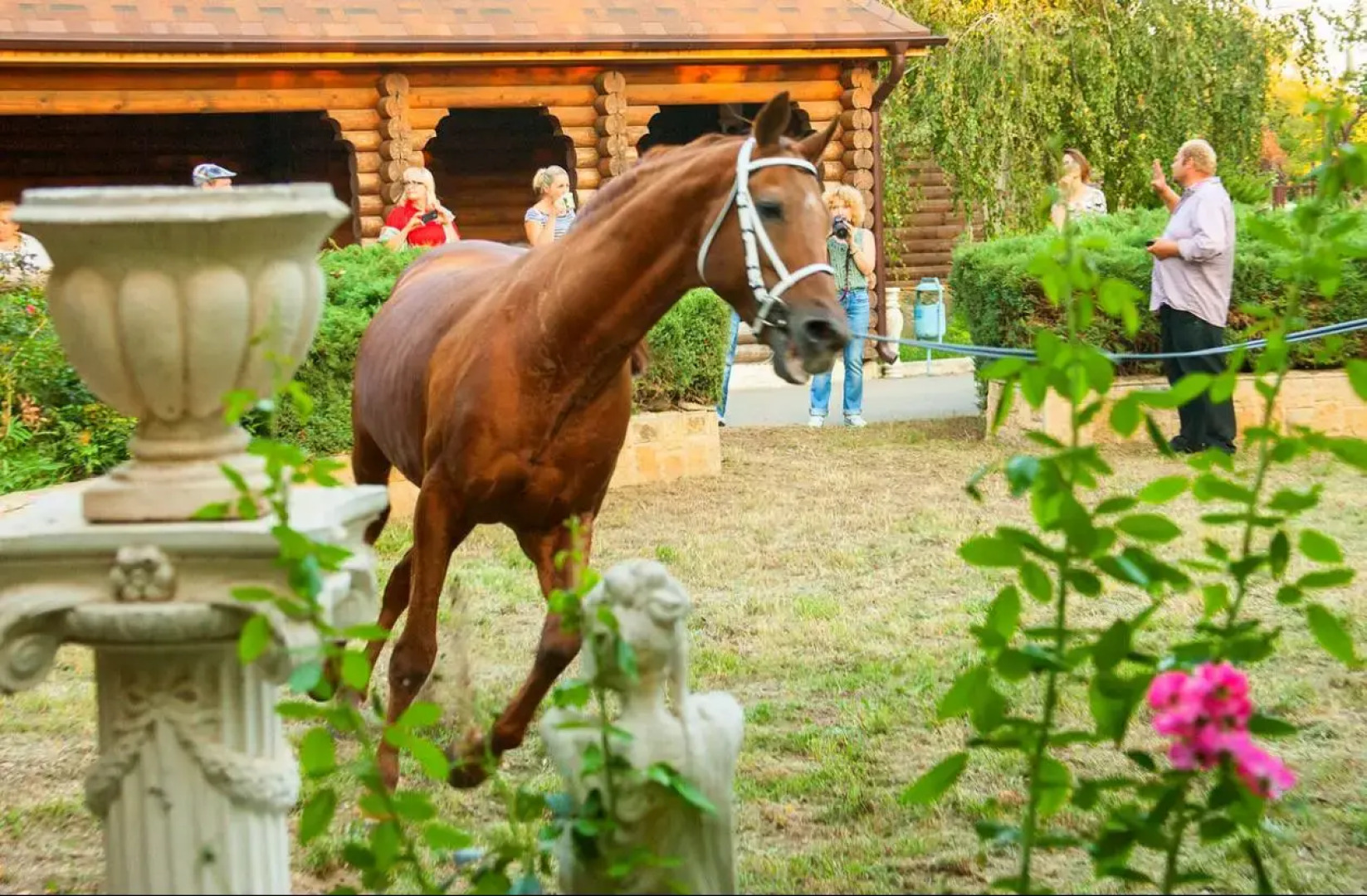 База Отдыха Экопарк Великокняжеский Остров