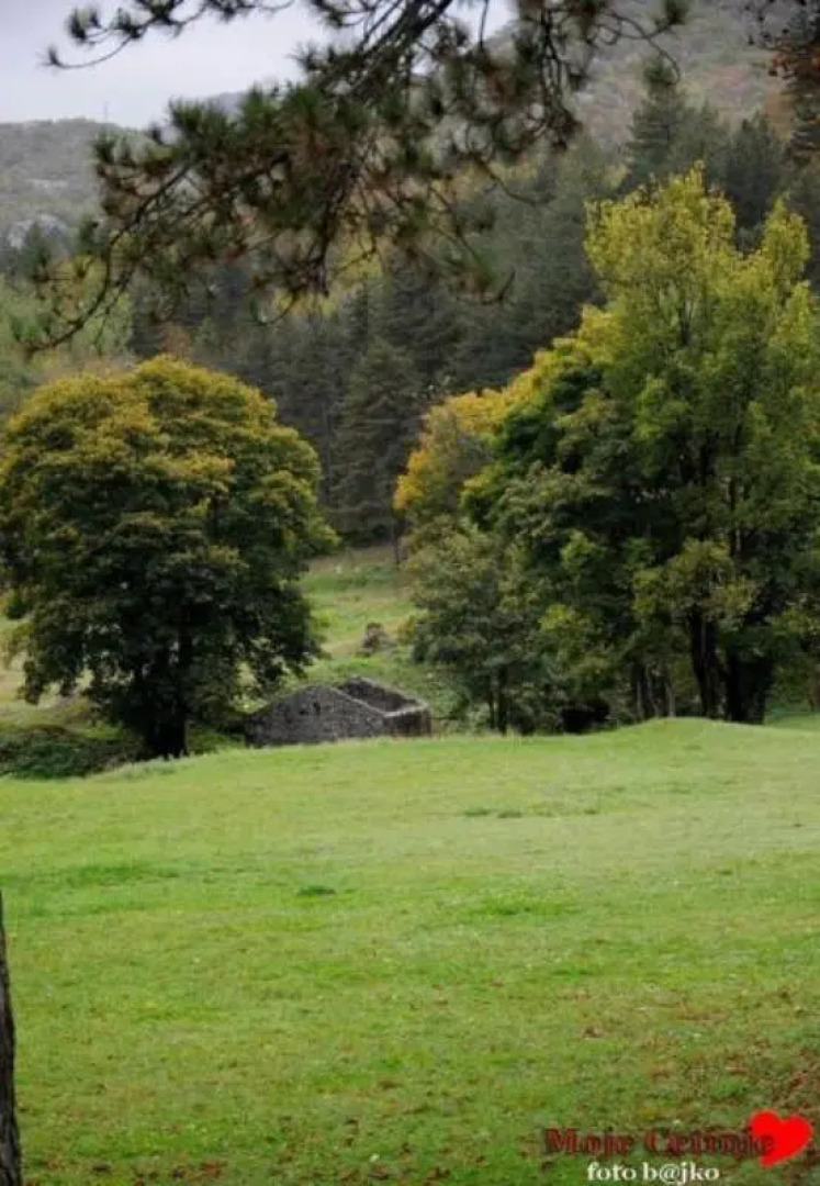 Апартаменты Petra Lubarde