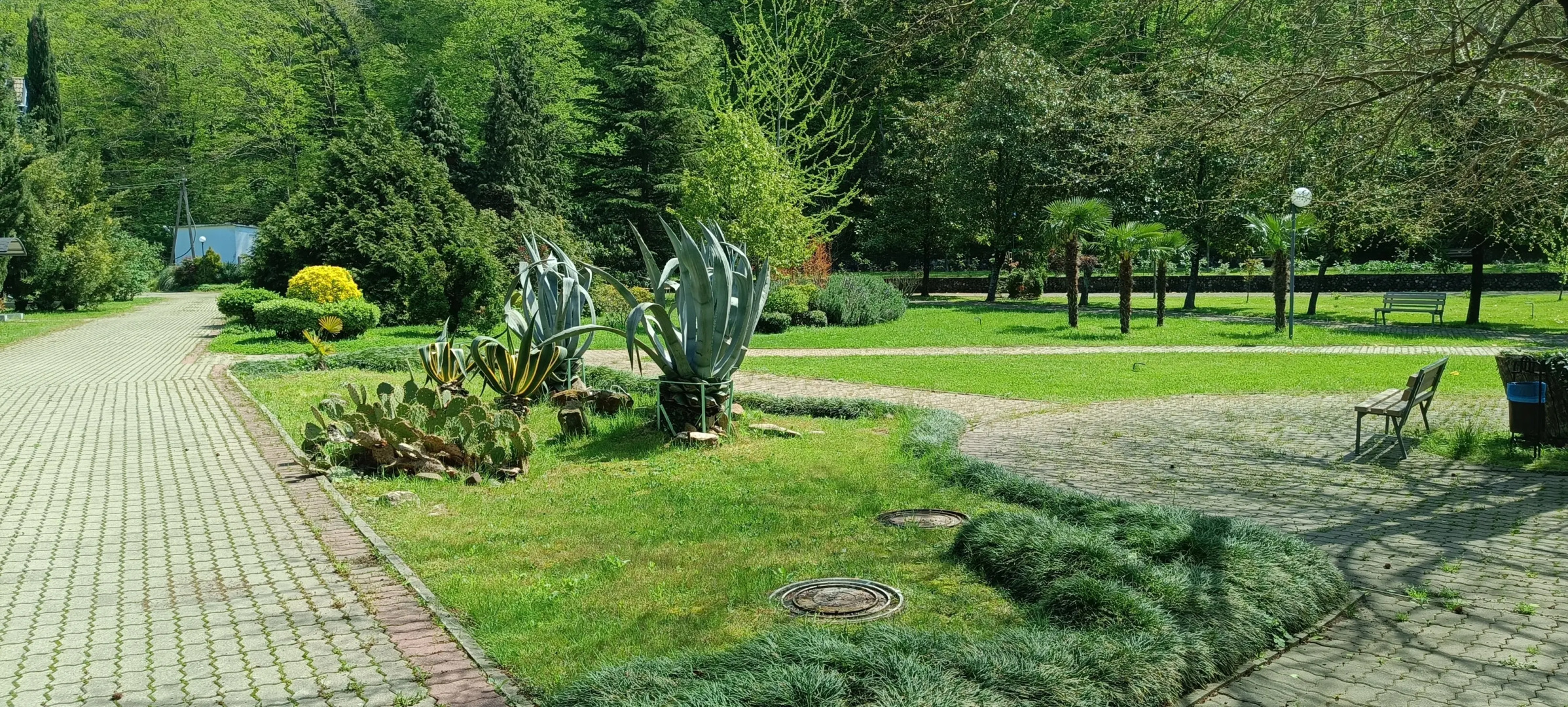 Апартаменты Агой Оазис