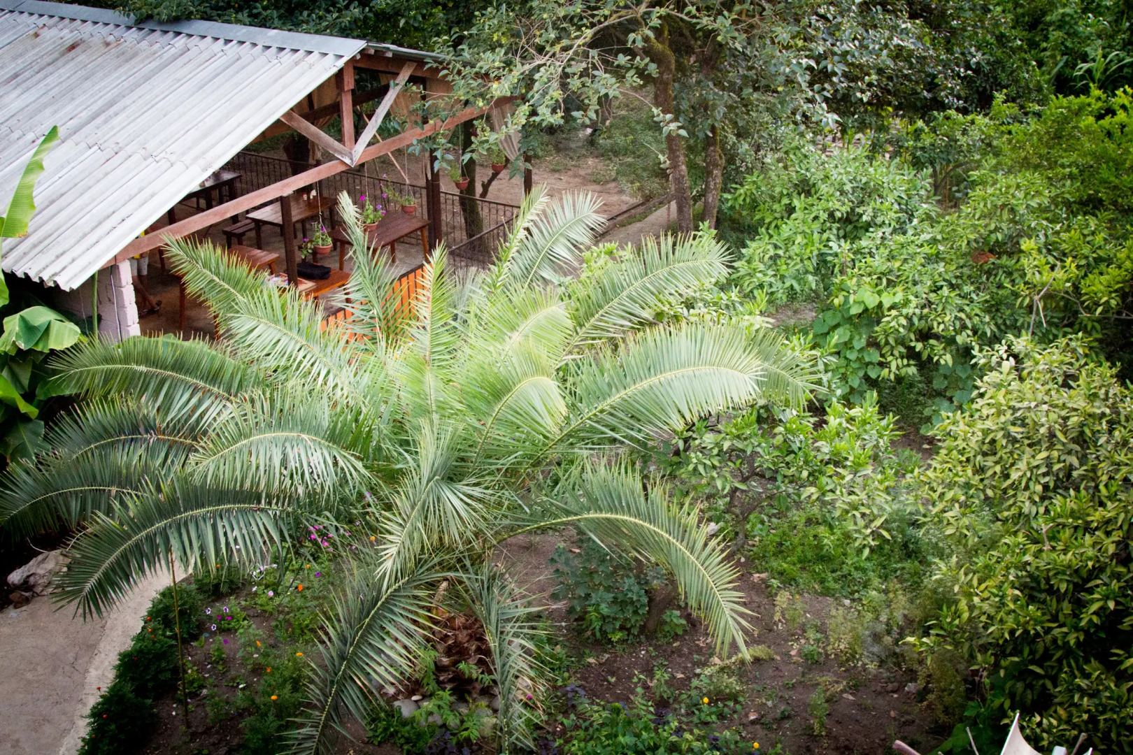 База отдыха Теремки