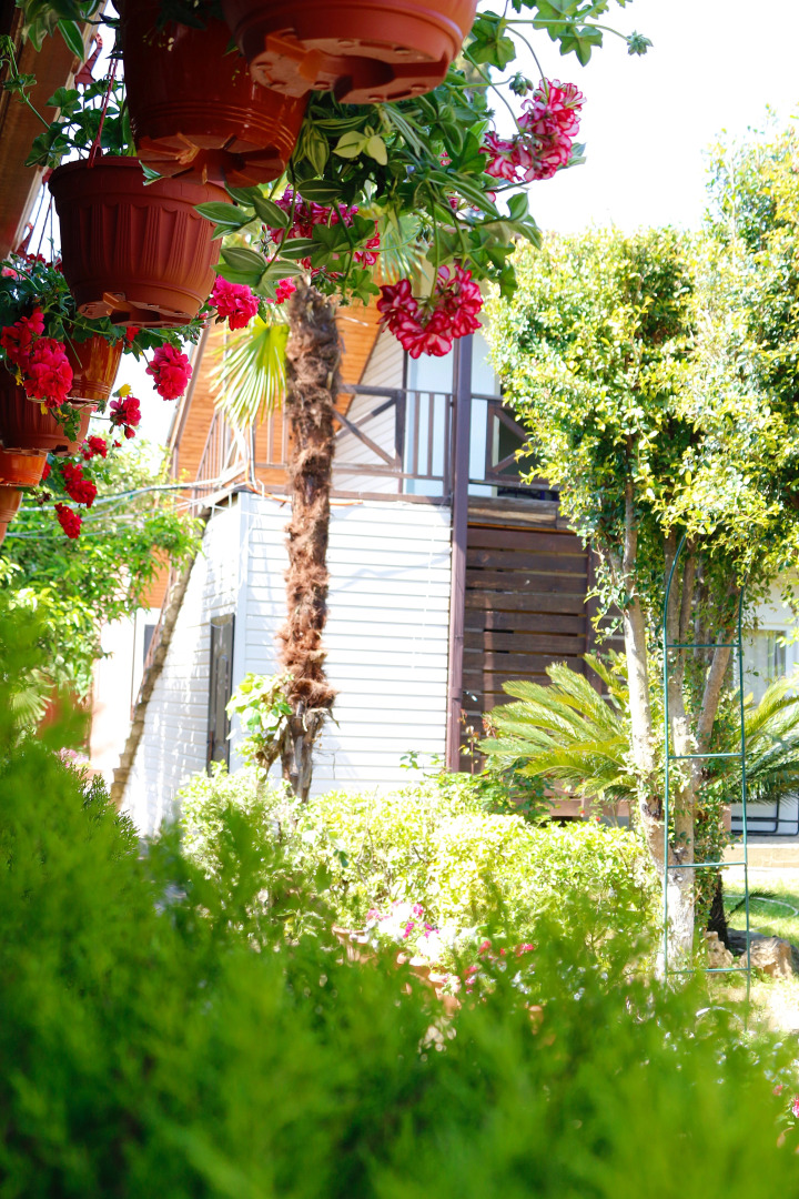 Гостевой дом Алашара