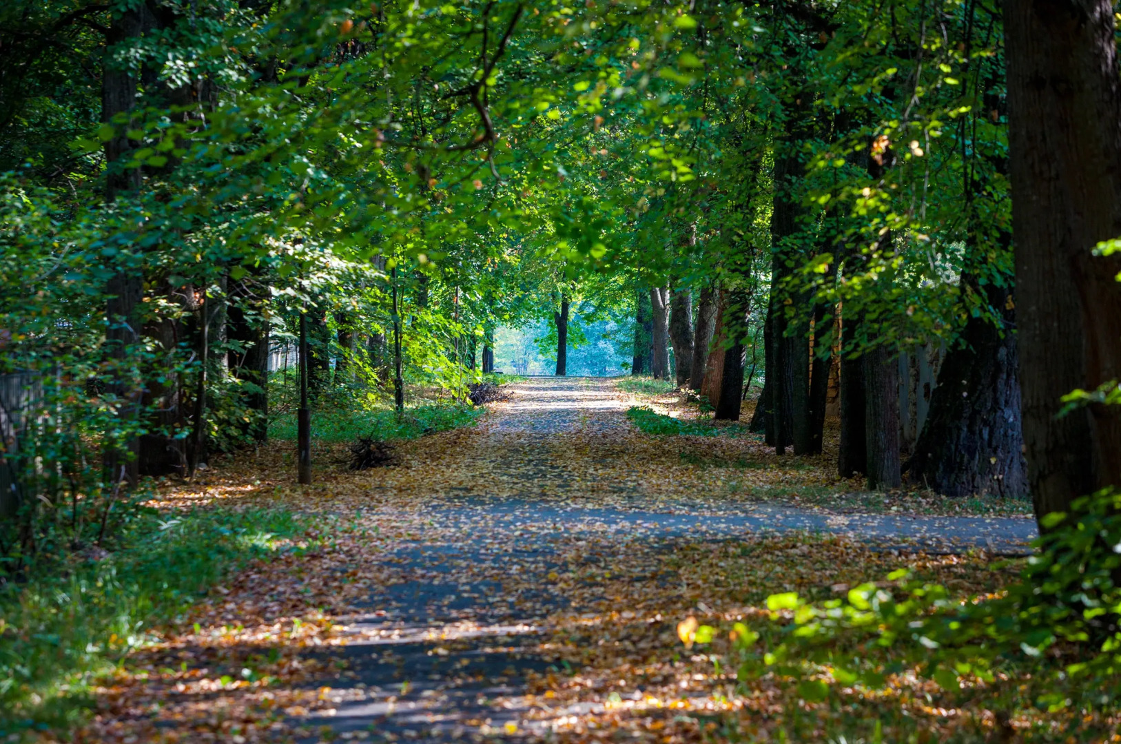 Отель Таёжная Слобода