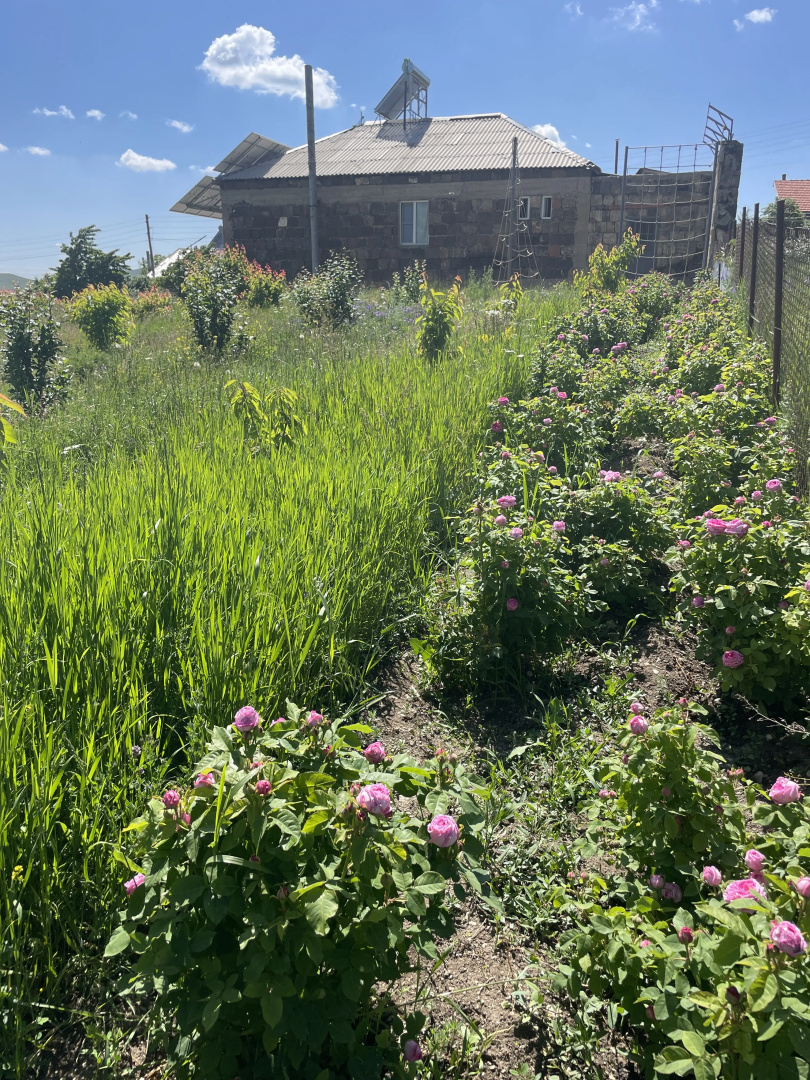 Частный дом Tooi Ecolodge