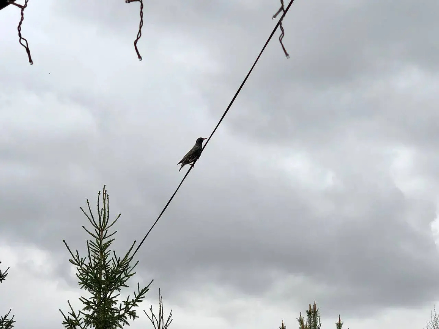 Гостевой дом Экоусадьба Шанти