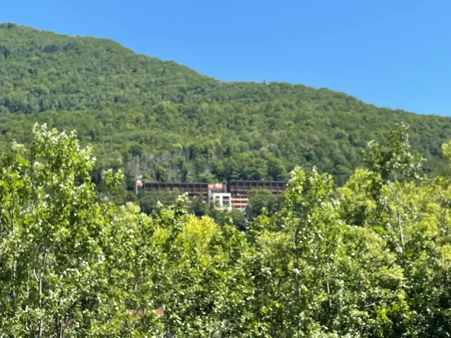 Апартаменты Панорама Парк Красная Поляна