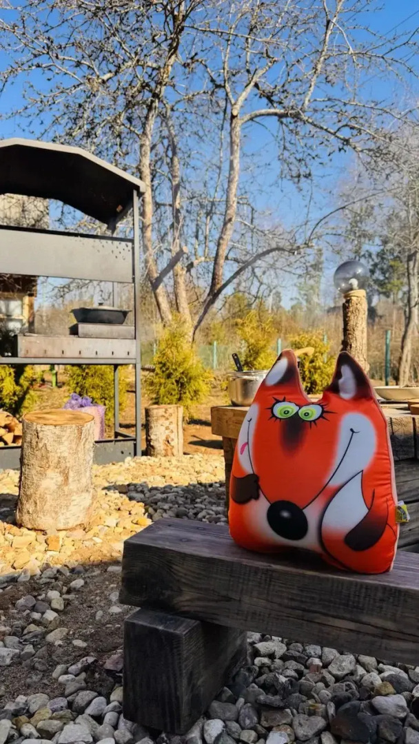 Частный дом Лисичкин дом