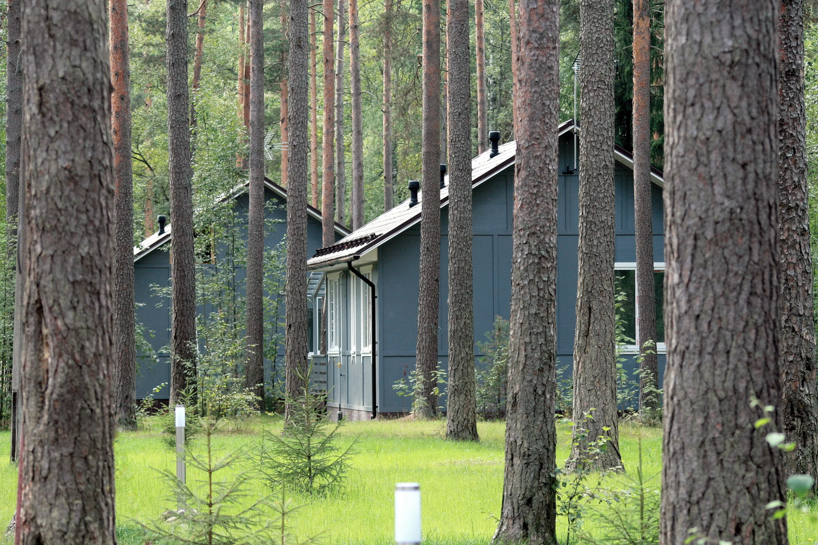 Апартаменты Искатель