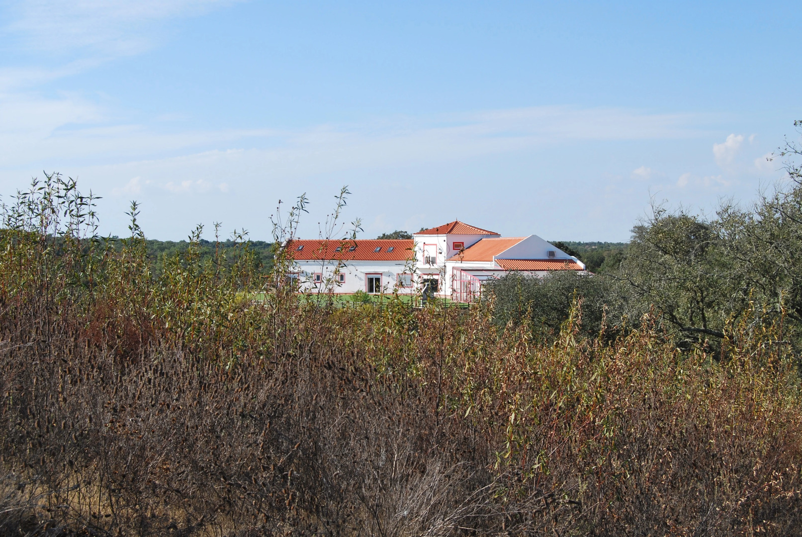 Гостевой Дом Buddha Peaceful Oasis