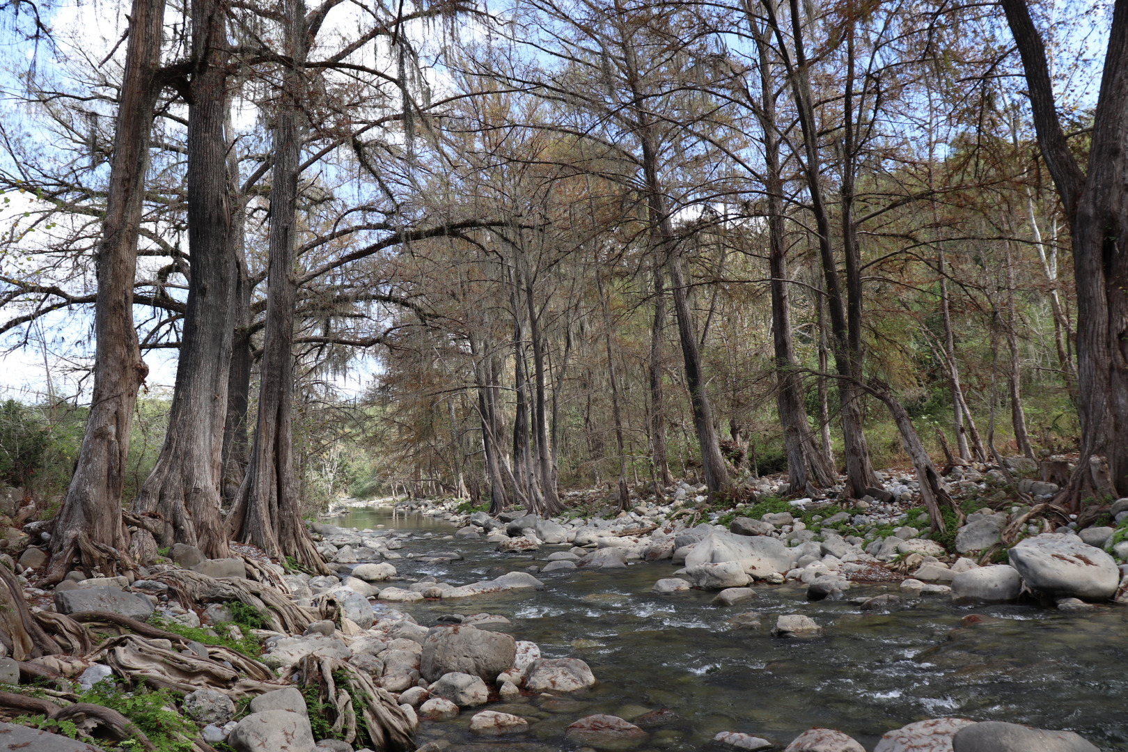Отель Cabañas Spa Calicantre Rotamundos
