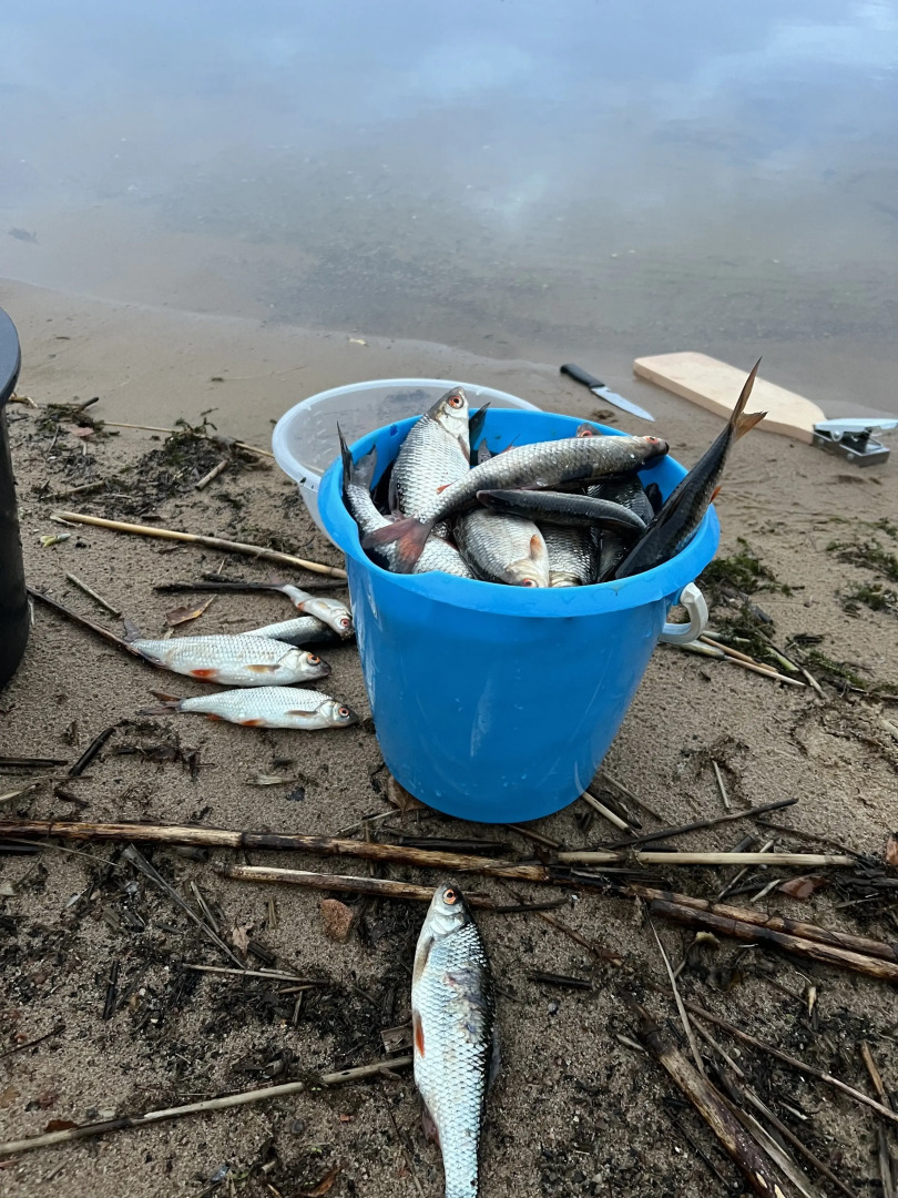 Частный дом Слобода 68