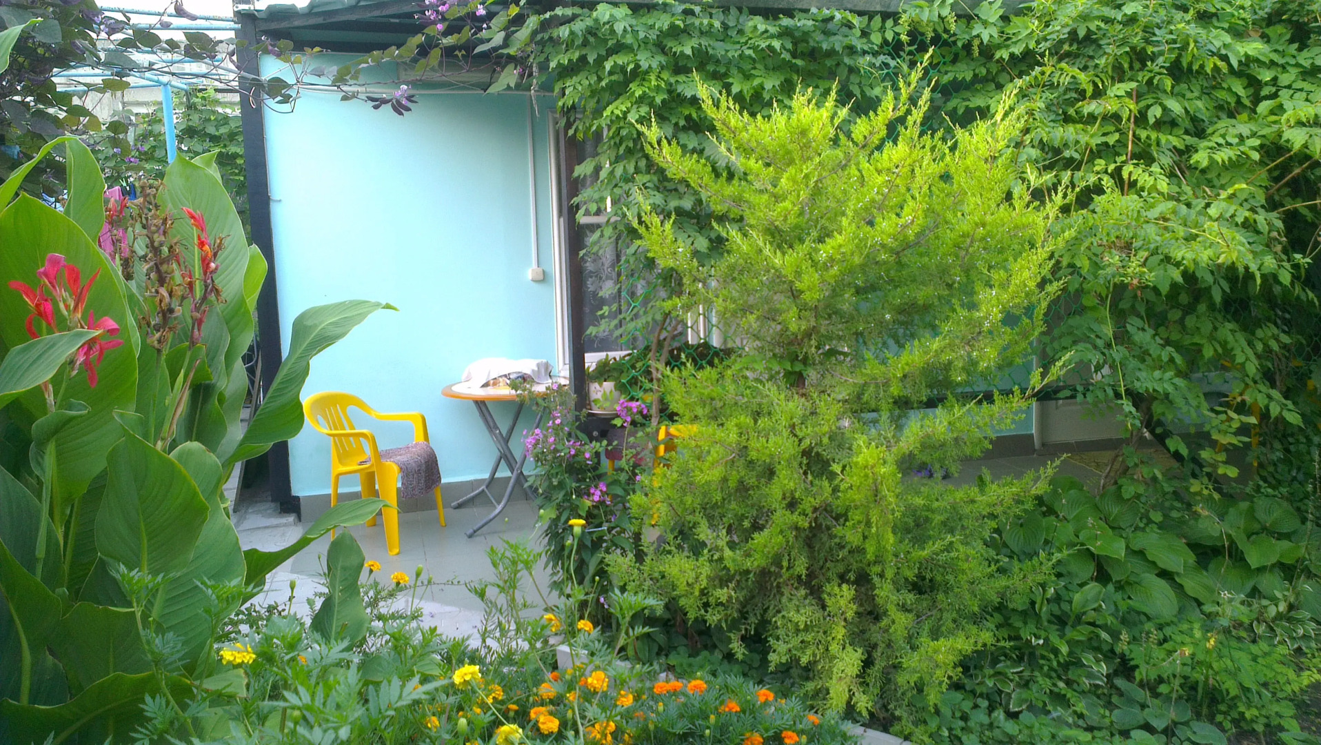 Гостевой дом У Борисовны