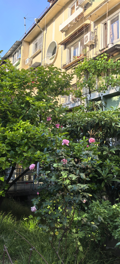 Квартира Уютная Квартира на Санаторной