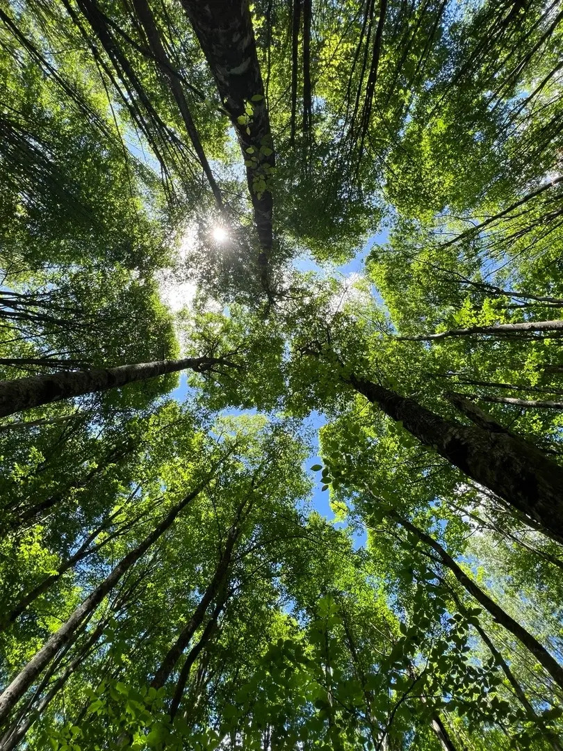 Гостевой дом Ранчо в горах Лаго-Наки