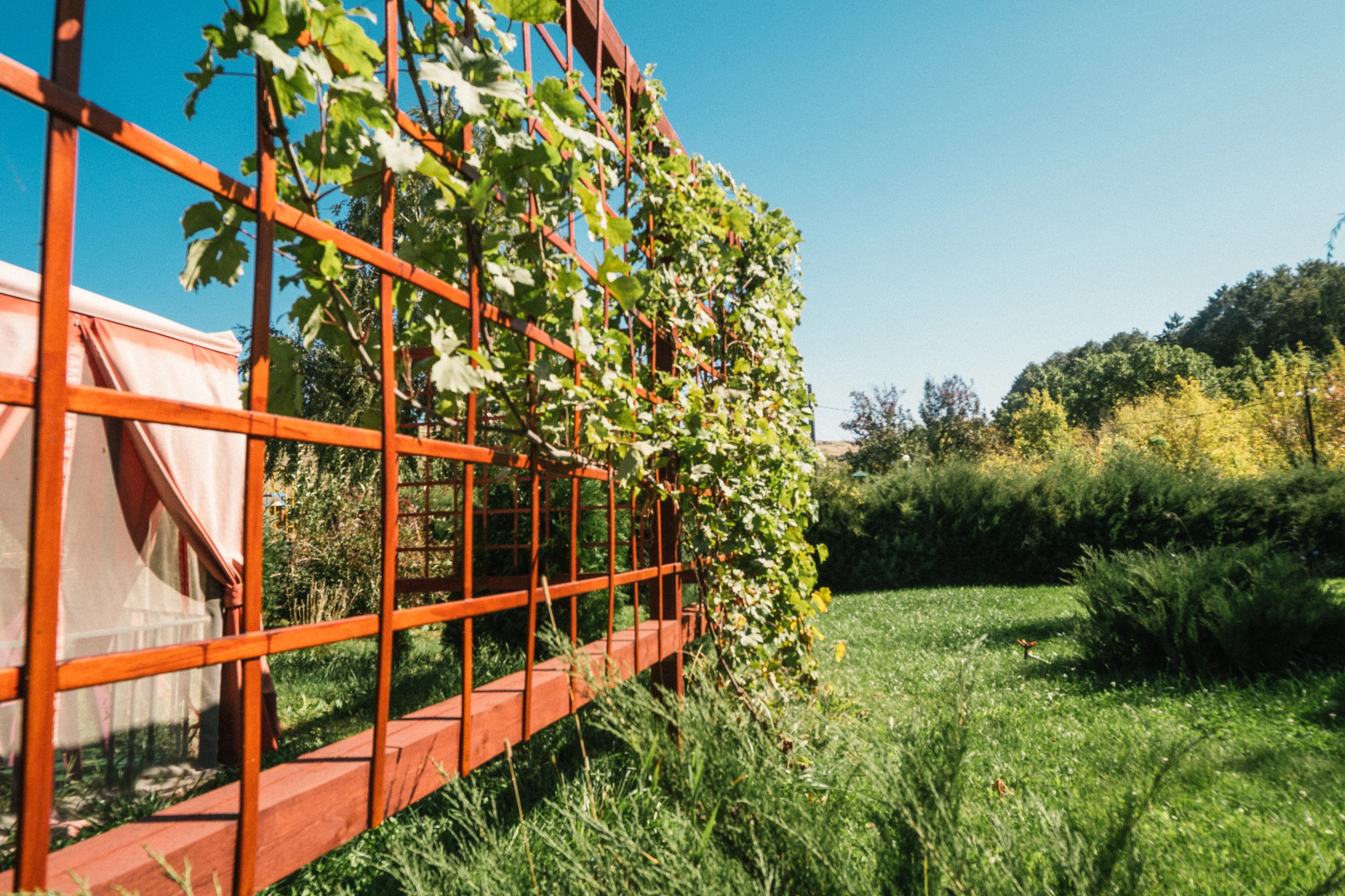 Гостевой дом Green Roof