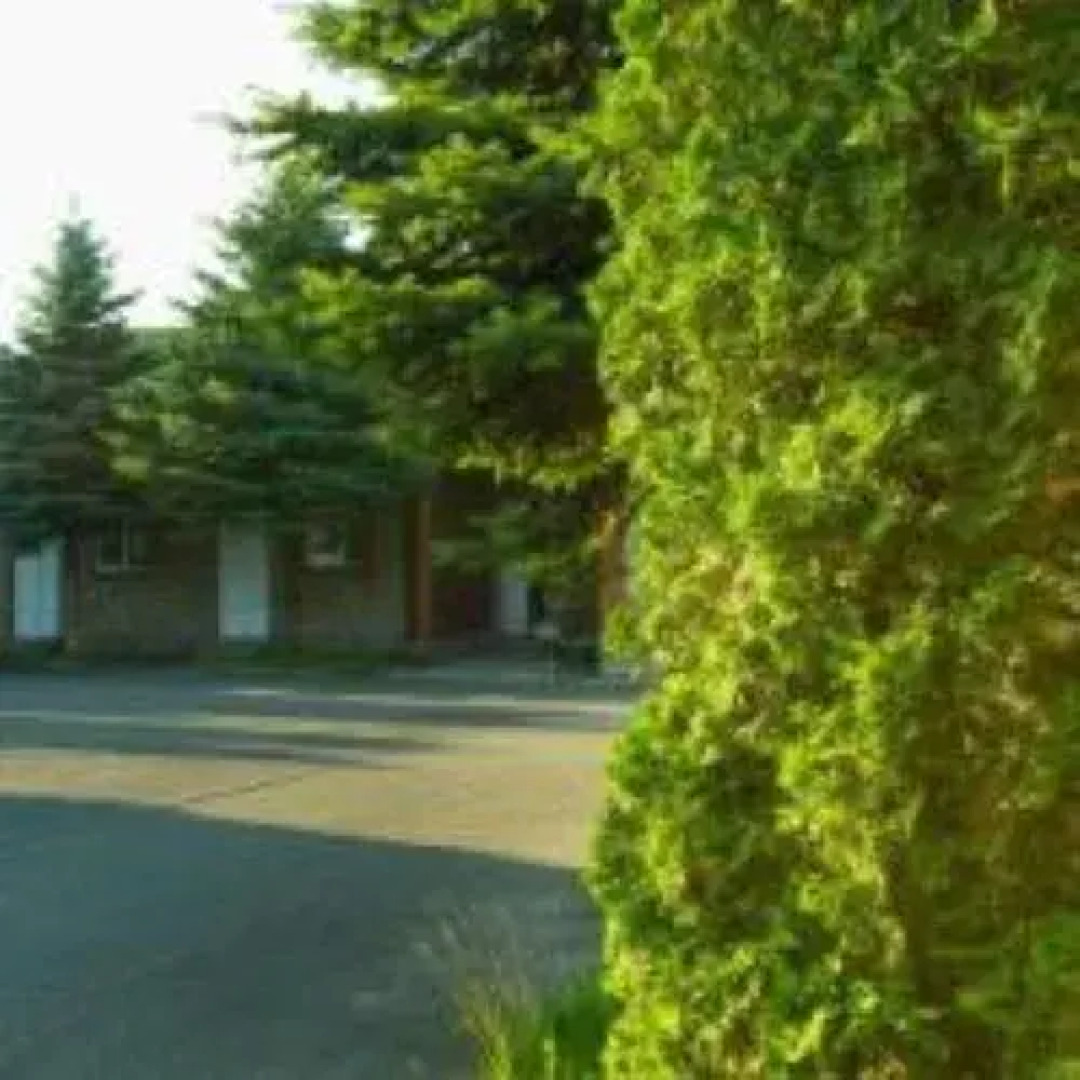 Отель Пять Звёзд