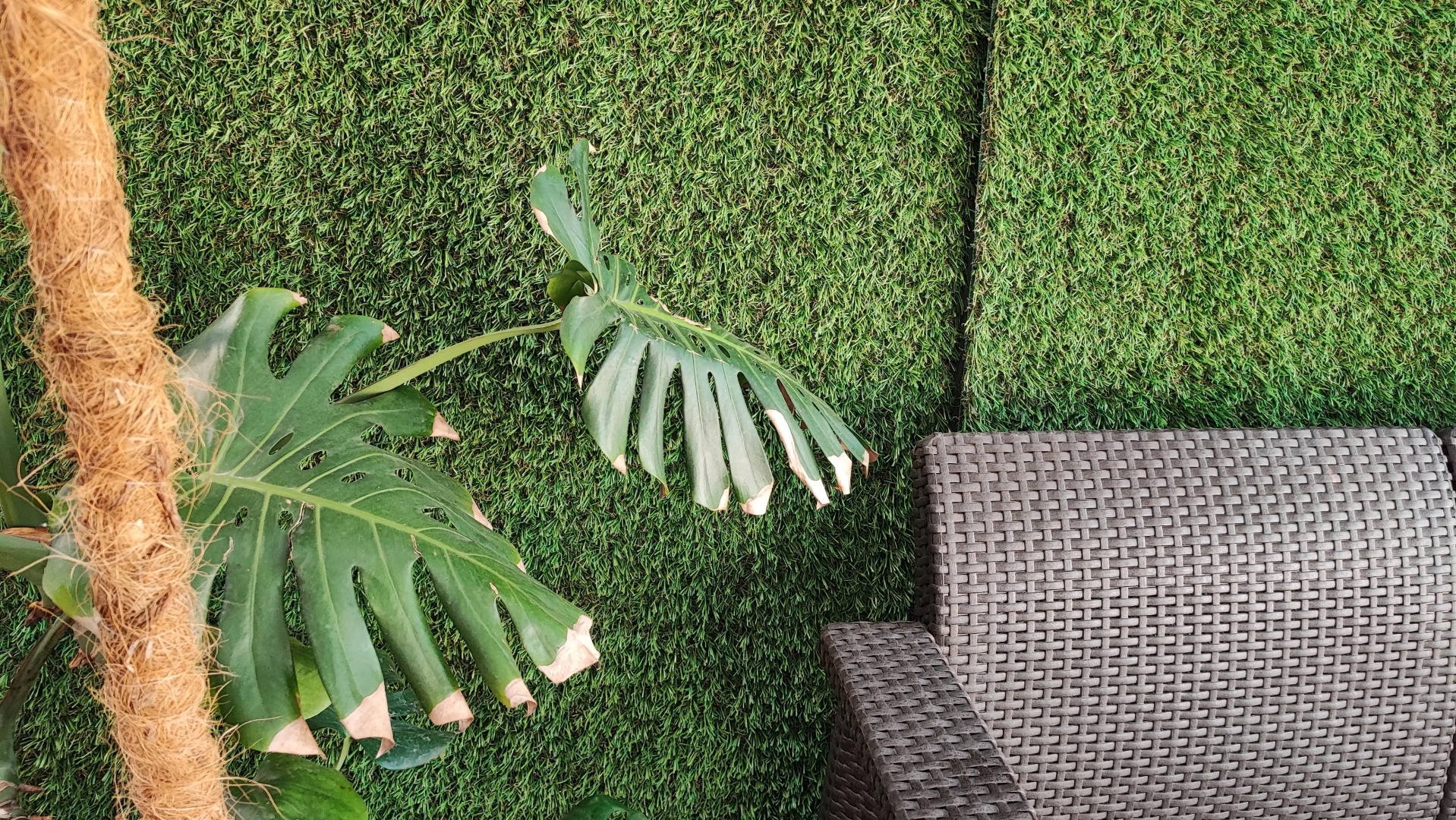 Гостевой дом Светлана