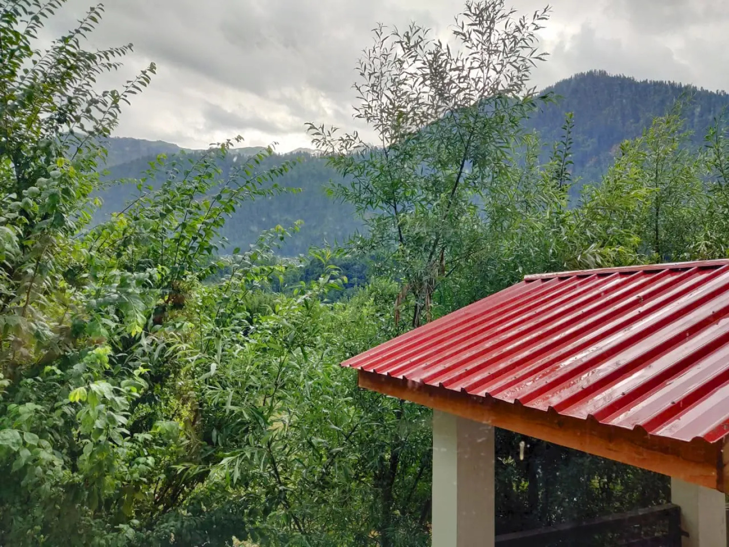 Гостевой дом Seclude Orchard Manali