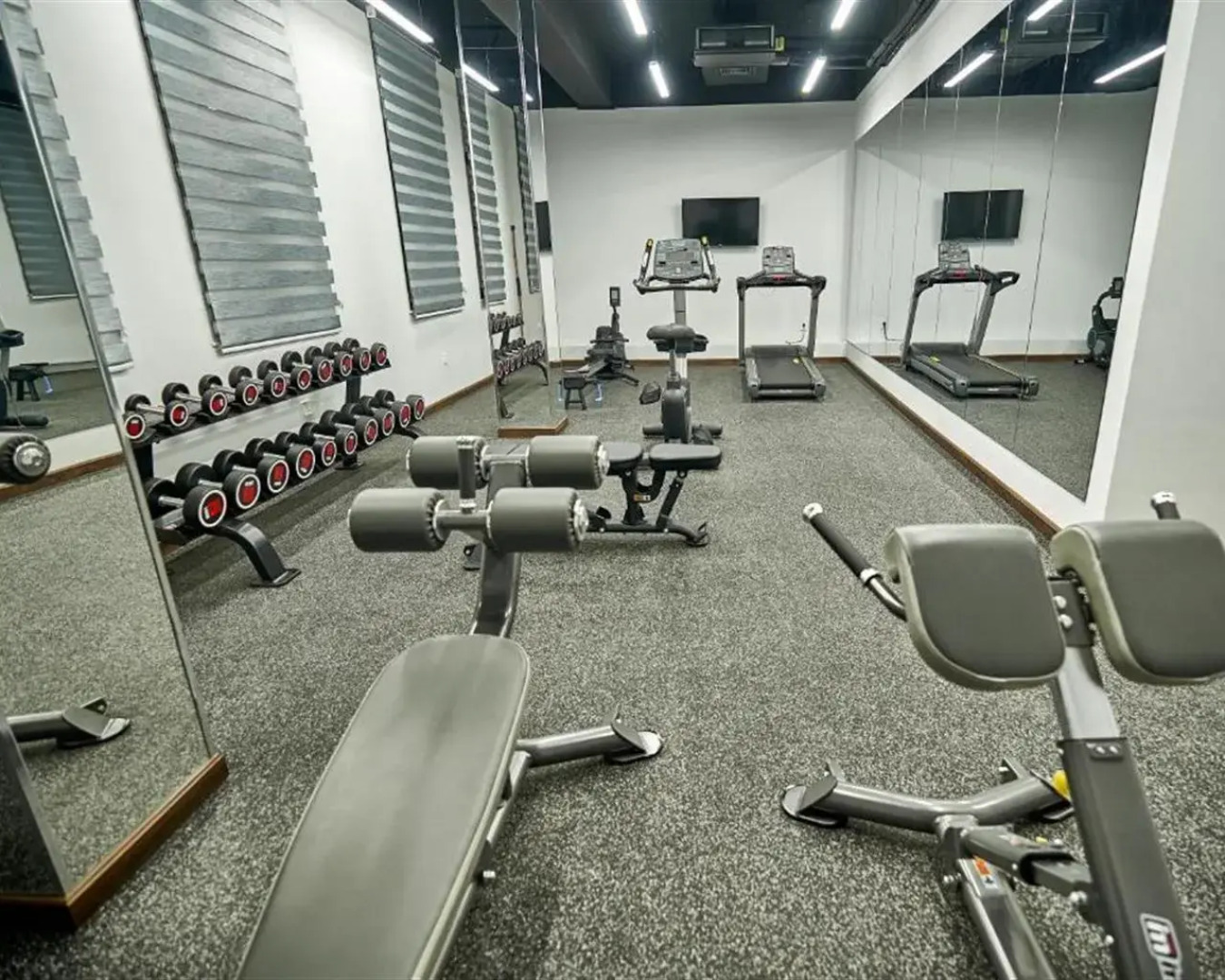 Отель Garnet Mir