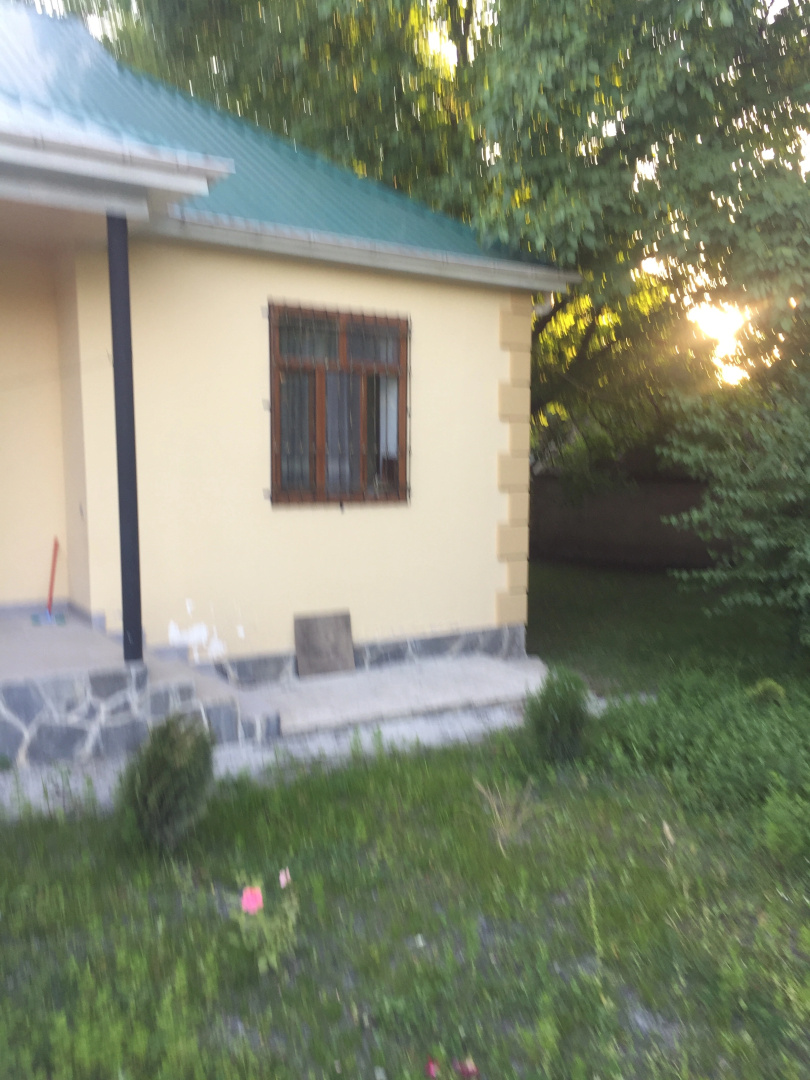 Отель Alpha