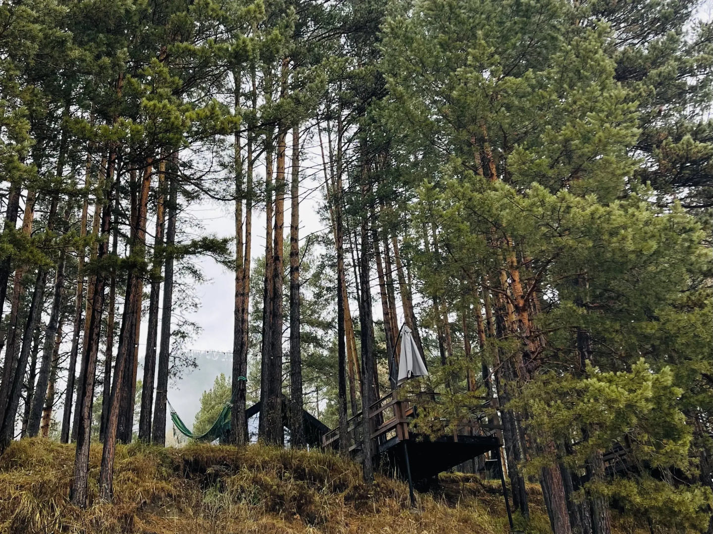 База Отдыха Шелест
