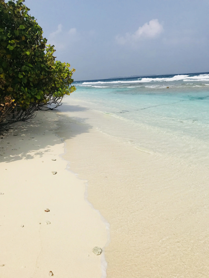 Гостевой Дом Bon Abri Maldives