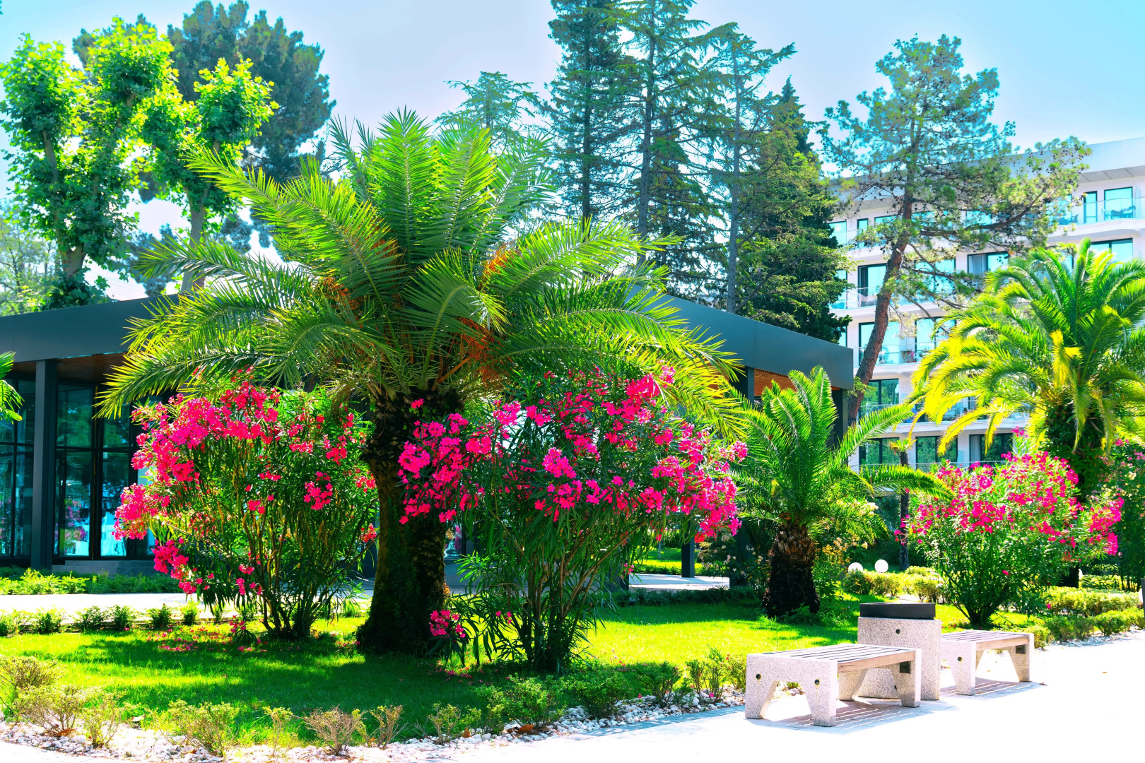 Апартаменты Лазурные в Лучезарном