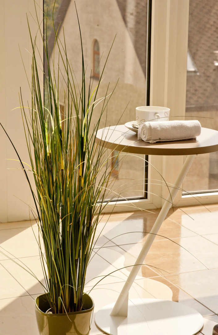 Двухкомнатные апартаменты Prime Ботанический сад