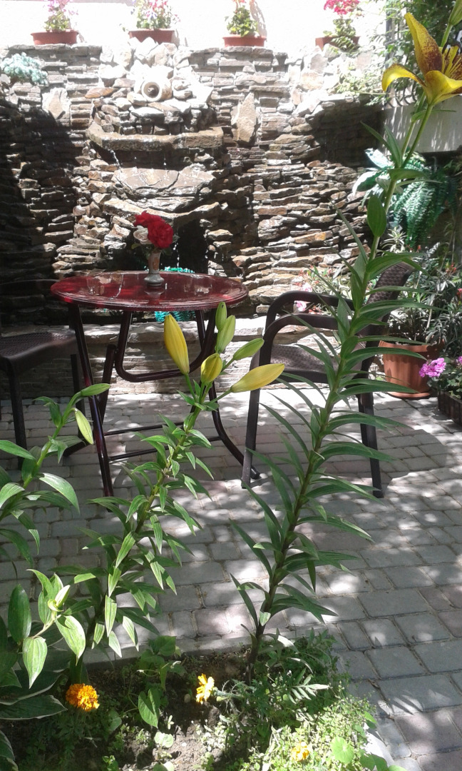 Мини-Отель Kunesh