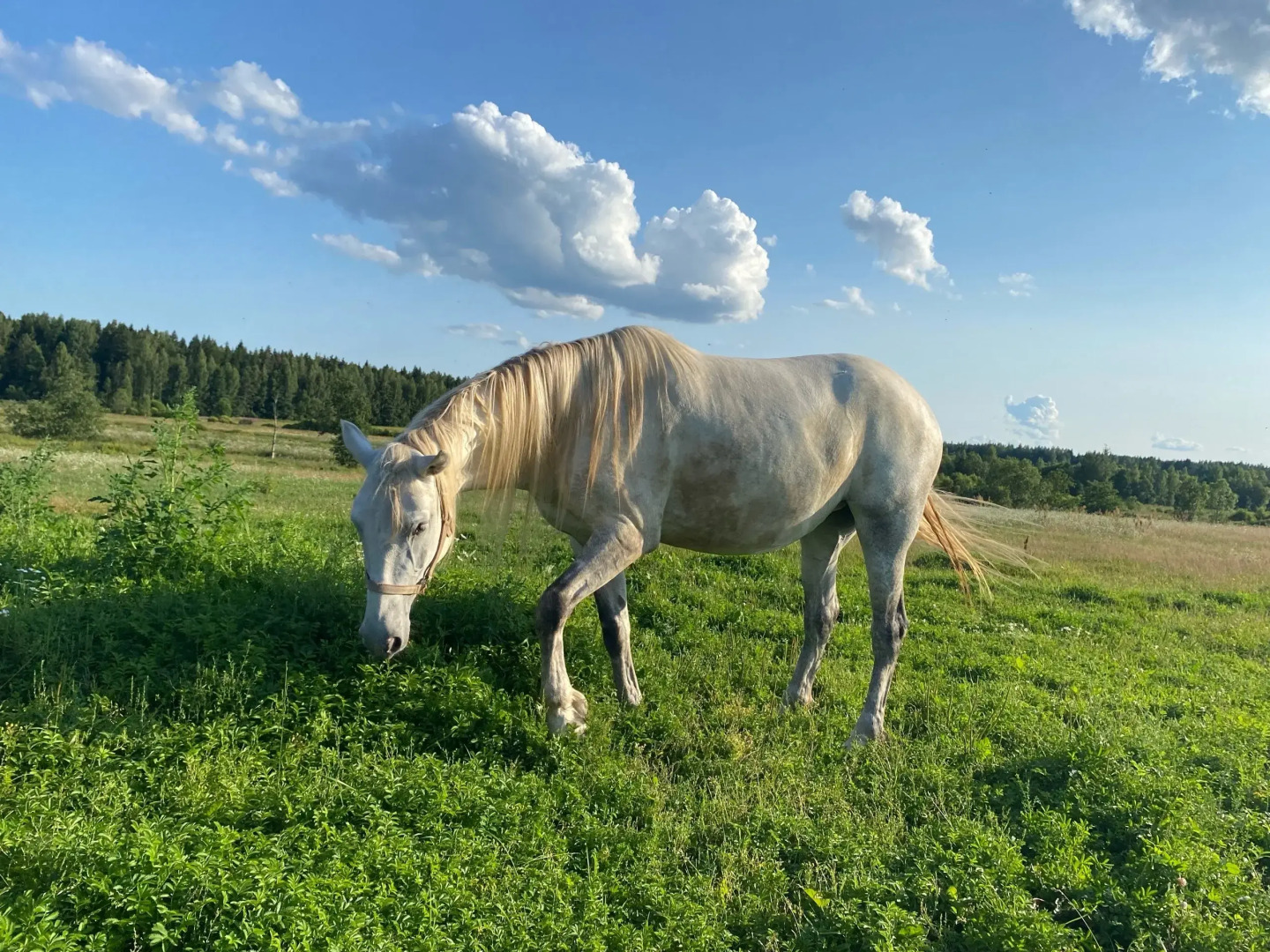 Частный дом Дом у реки в английском стиле