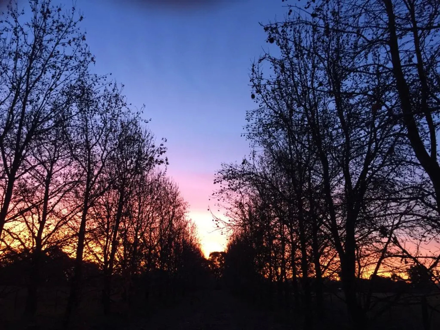 Бутик-Отель Estancia El Cencerro