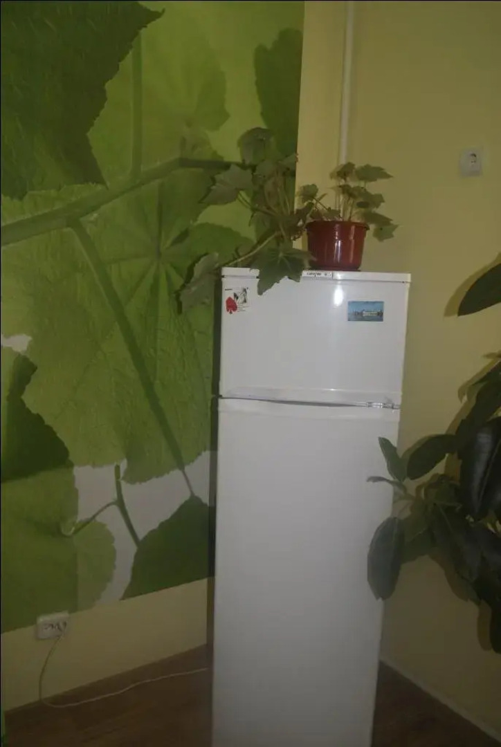 Хостел Подсолнух