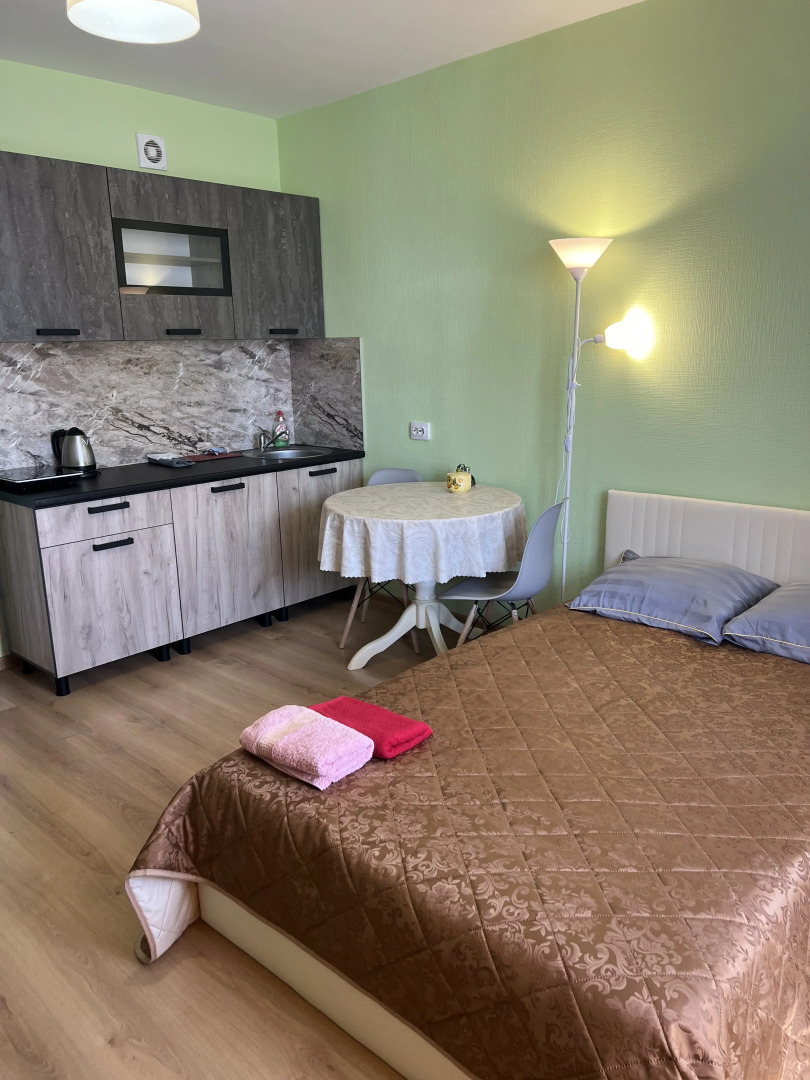 Квартира Уютная рядом с НИИ Петрова, Напалкова, Гранова