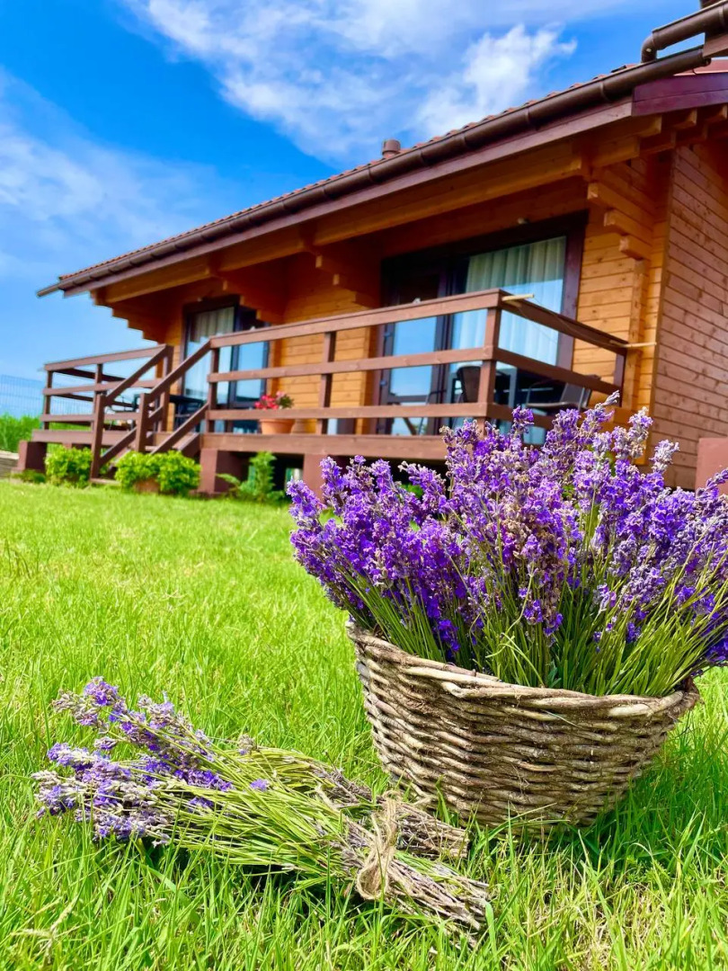 База отдыха Кактус