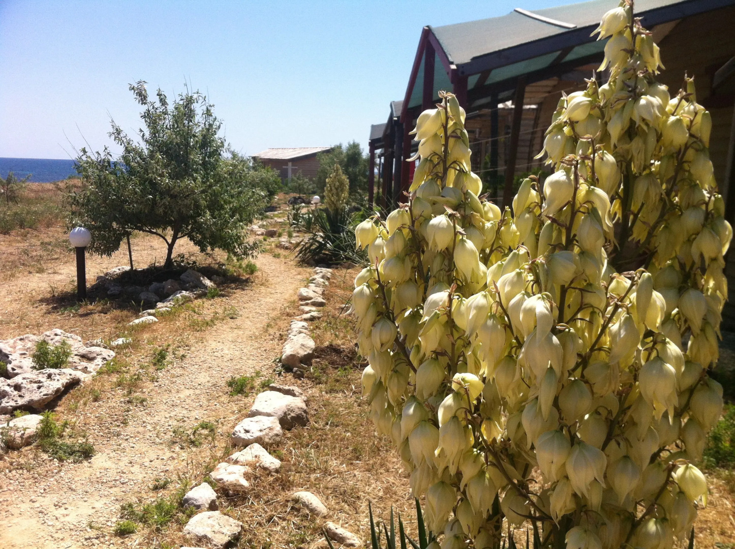 База Отдыха Эко Курорт Морское