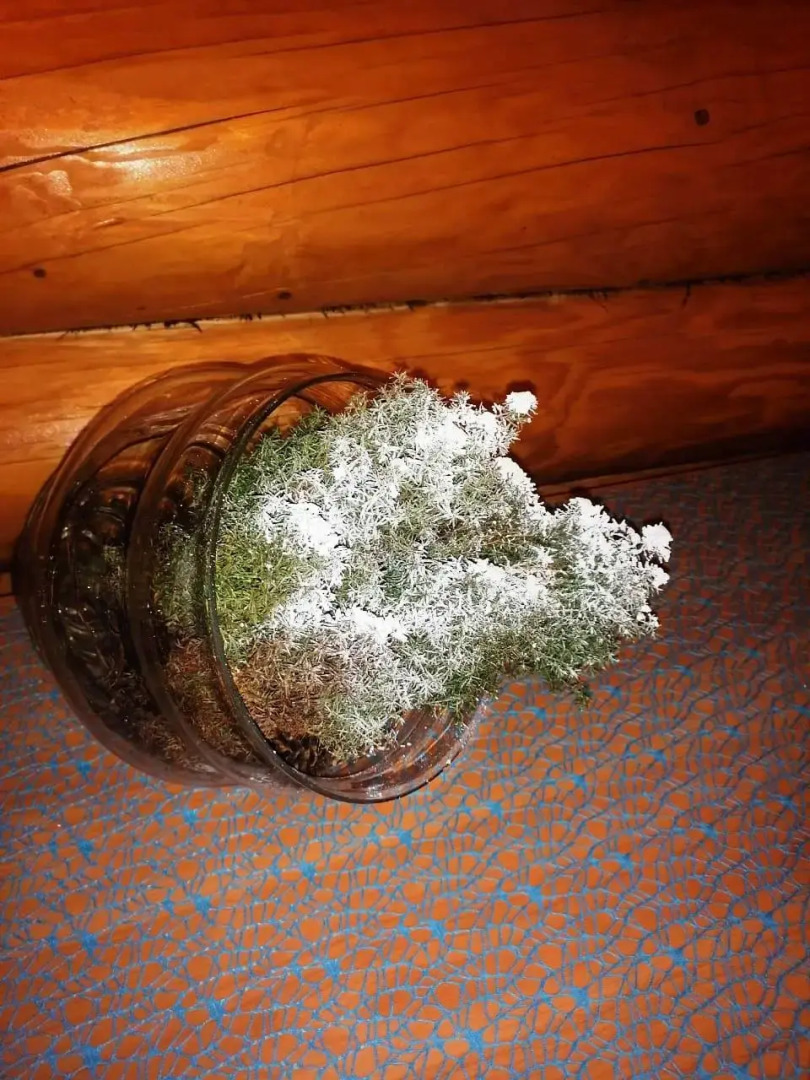 Гостевой дом Дом Капитана в Кириллове