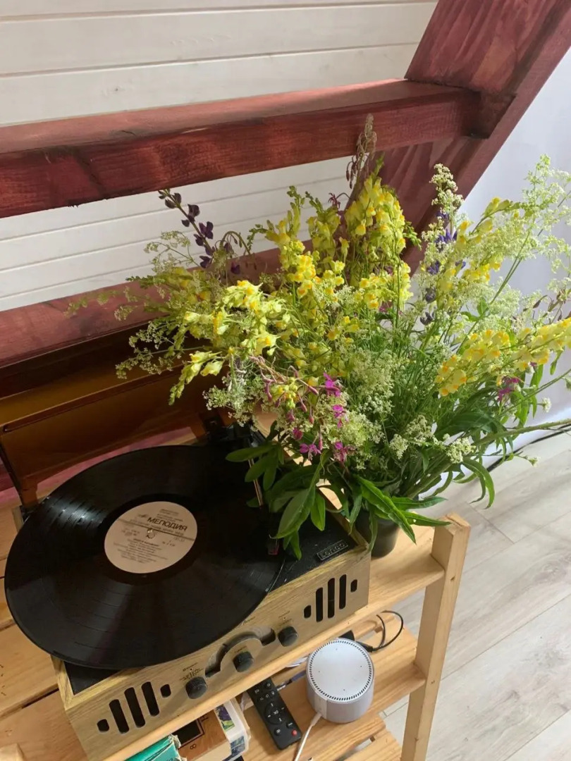 Шале неДача 1