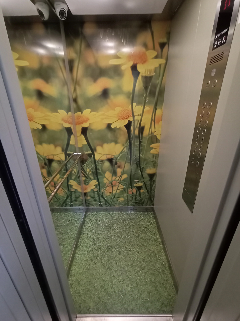 Квартира Увидеть Петербург у метро Лесная