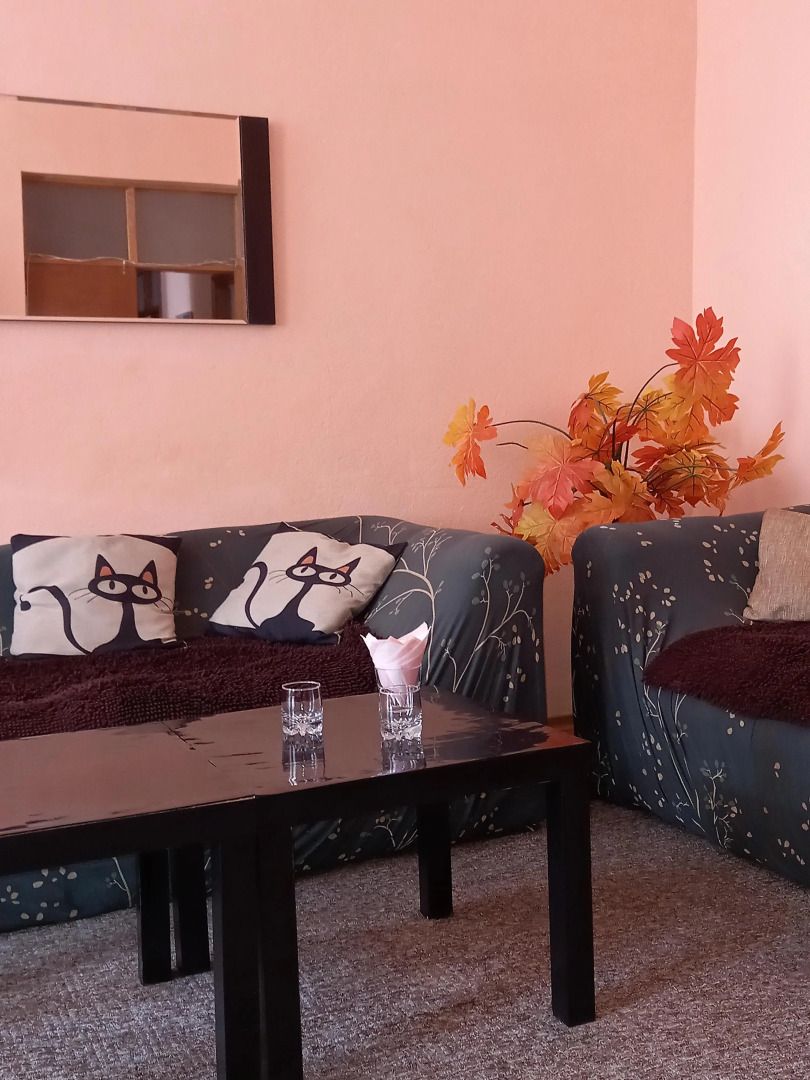 Меблированные комнаты Теремок на Светланской