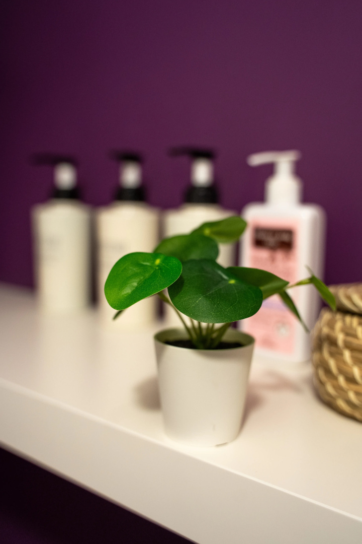 Квартира Cozy home Violet