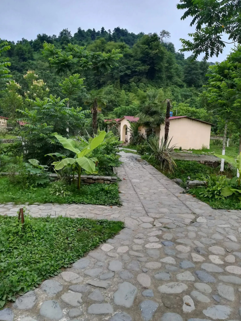 Отель Hey Georgia