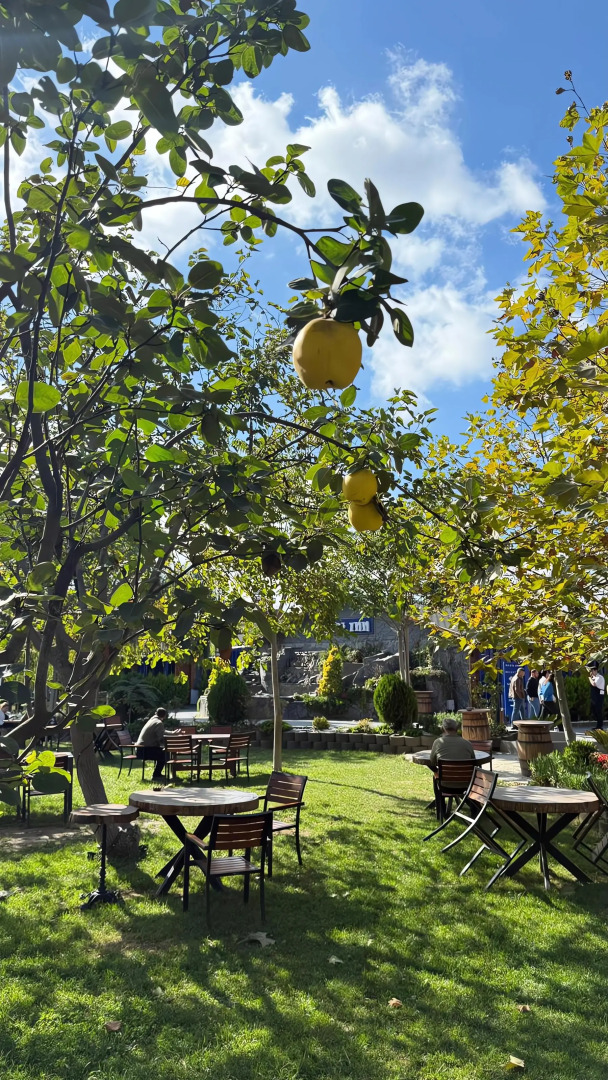 Отель Navy Inn & Bungalows