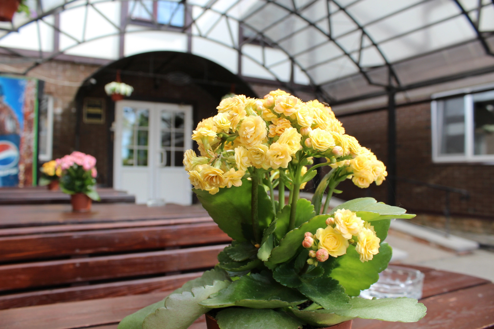 Гостиница Печоры-Парк