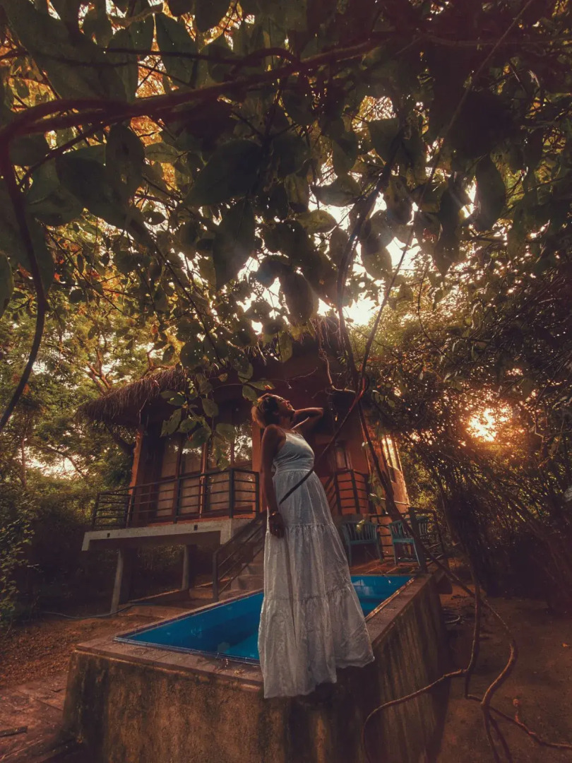 Отель Wild Wadi Wilpattu